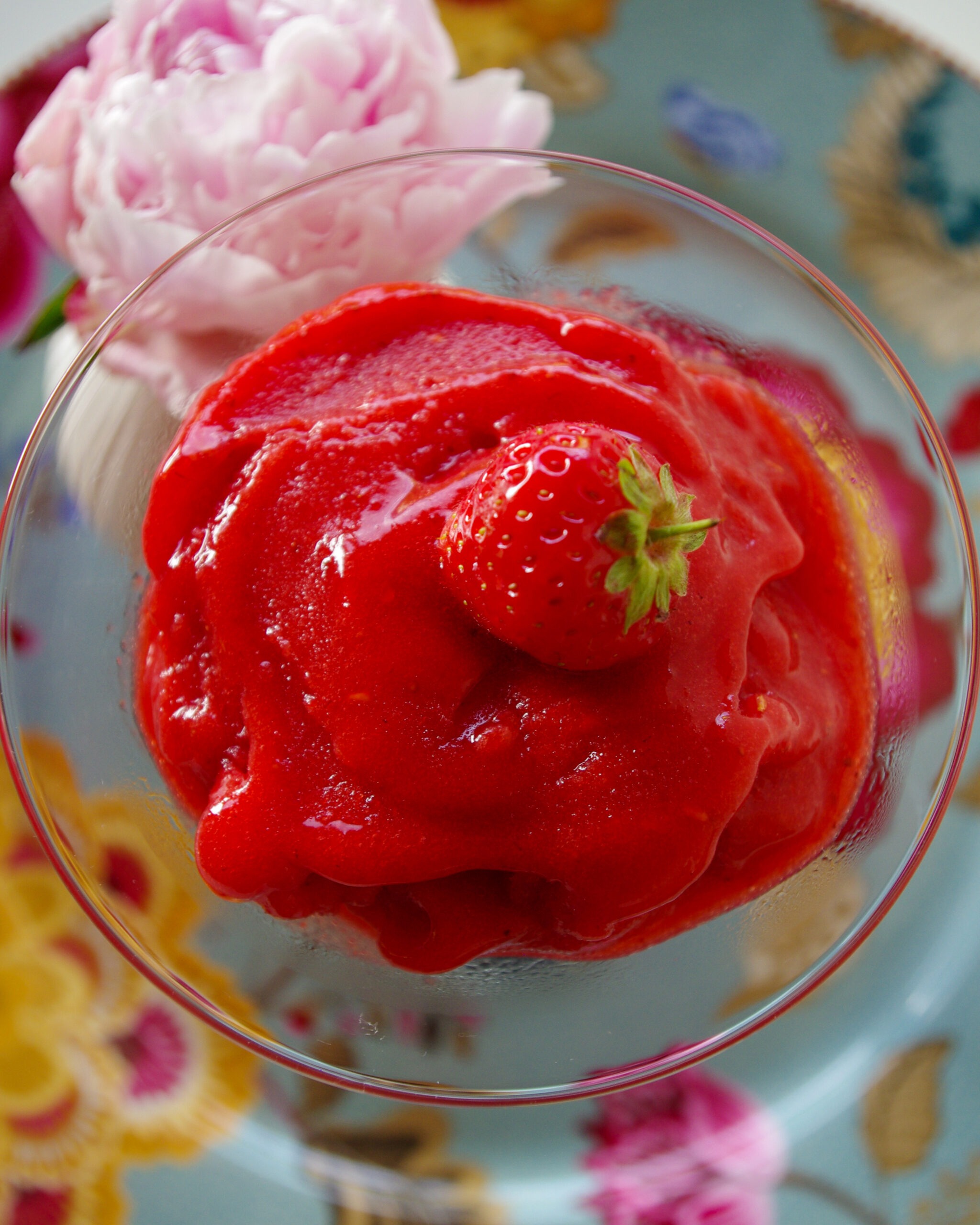 Erdbeer-Campari-Sorbet